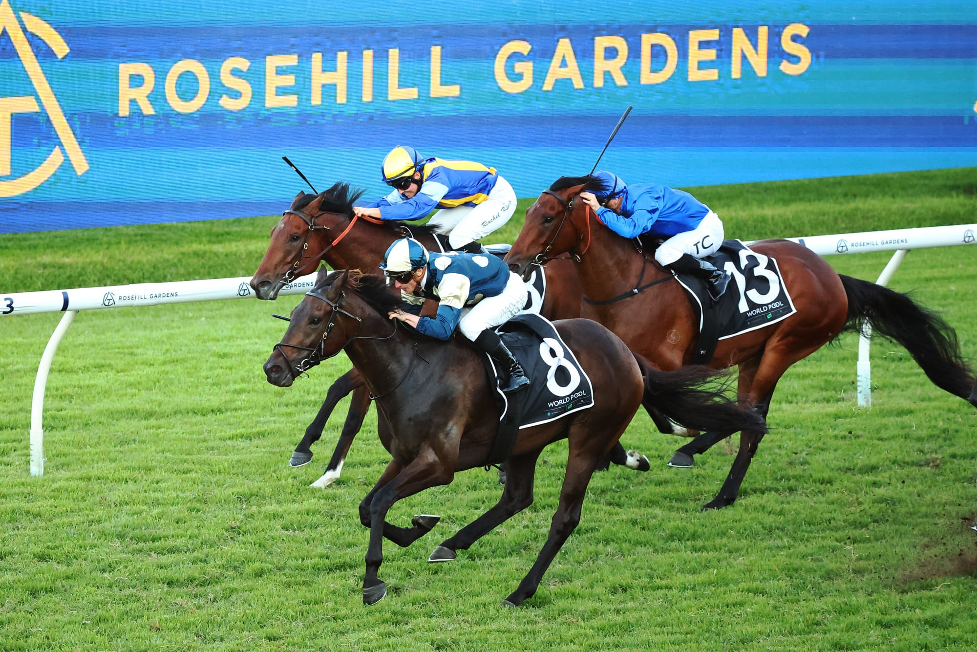 Rosehill racecourse.
