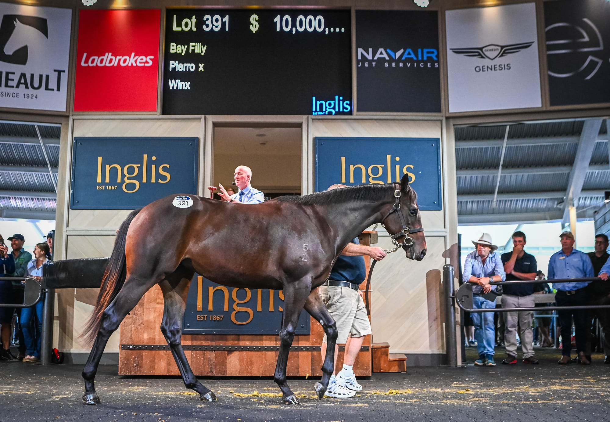 The $10 million filly by Pierro out of Winx