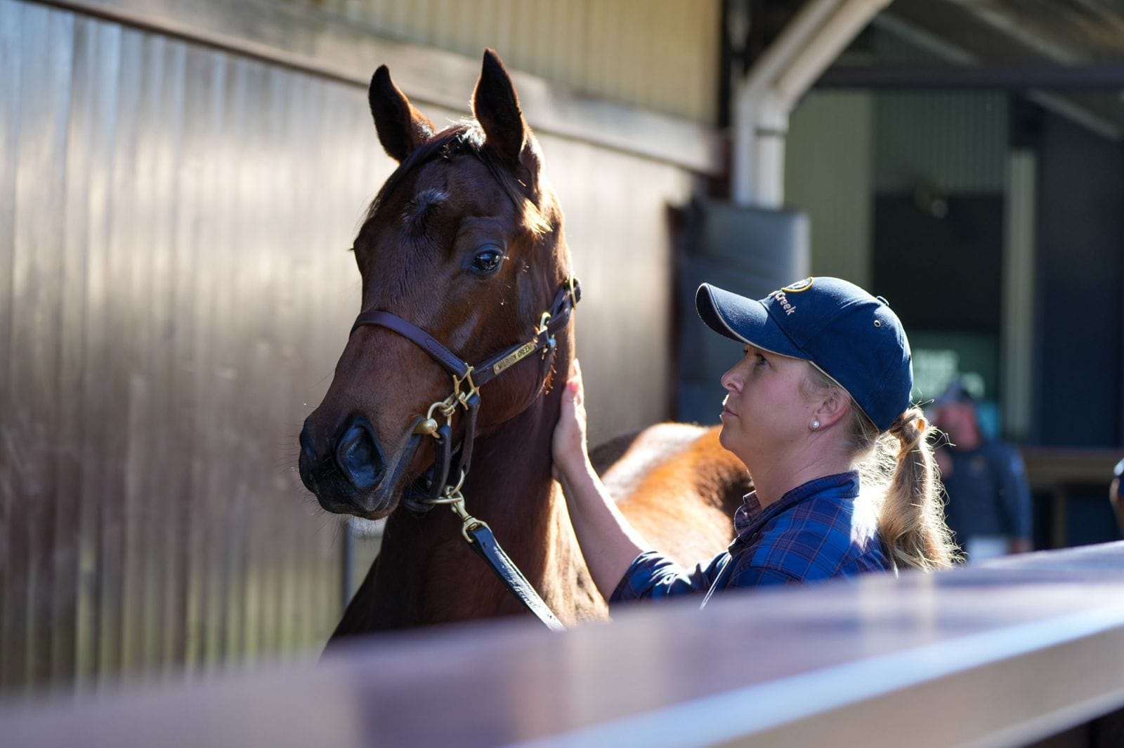 Zoustar weanling