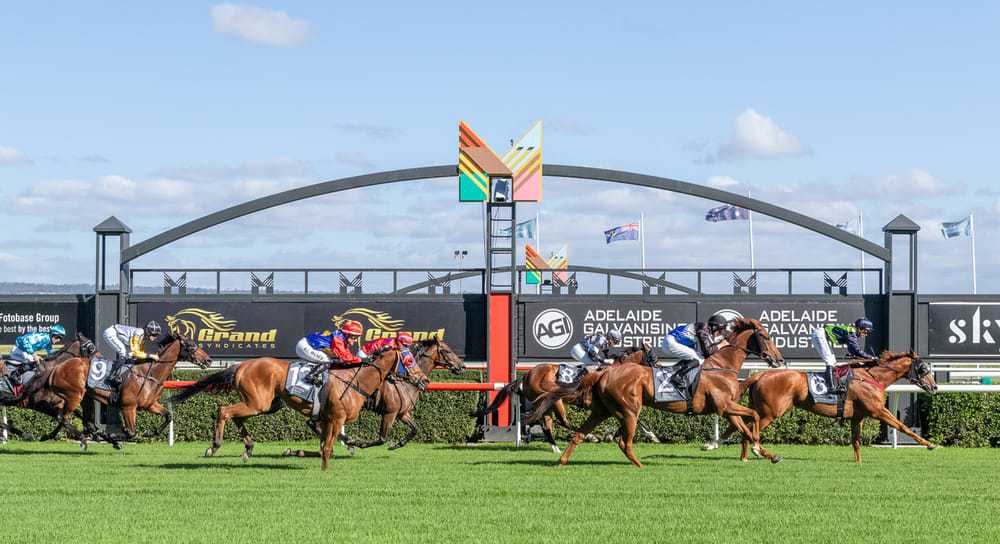 South Australian racing