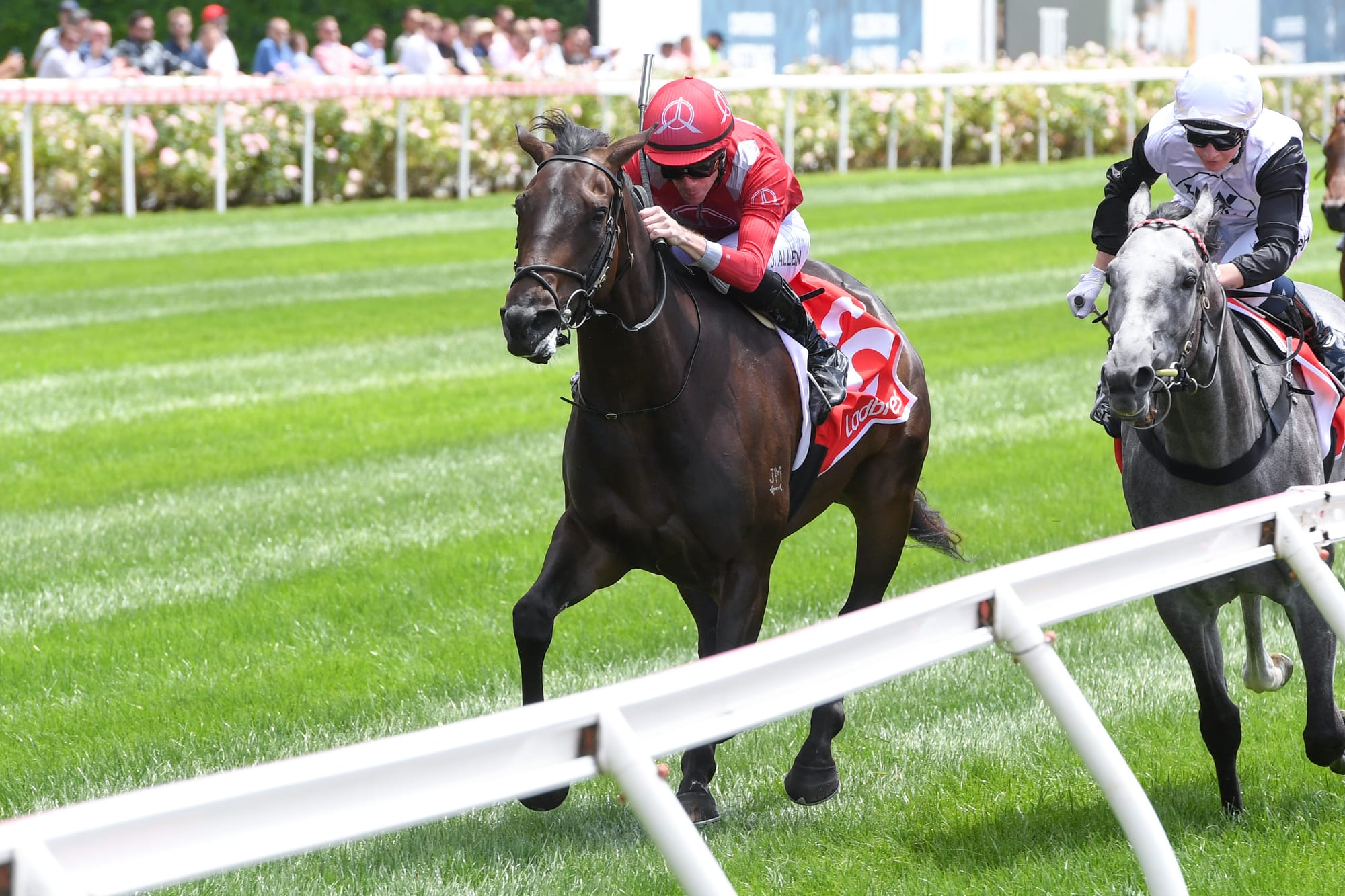 Socks Nation is now a Group 1 winner