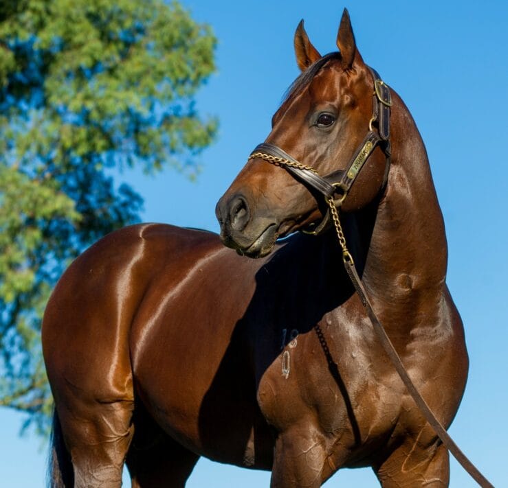  Zoustar
