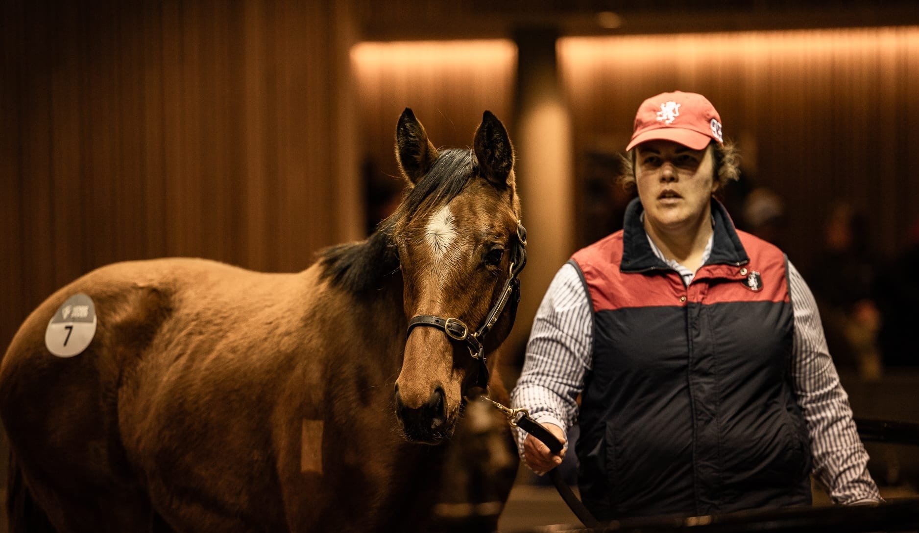 Frankel filly