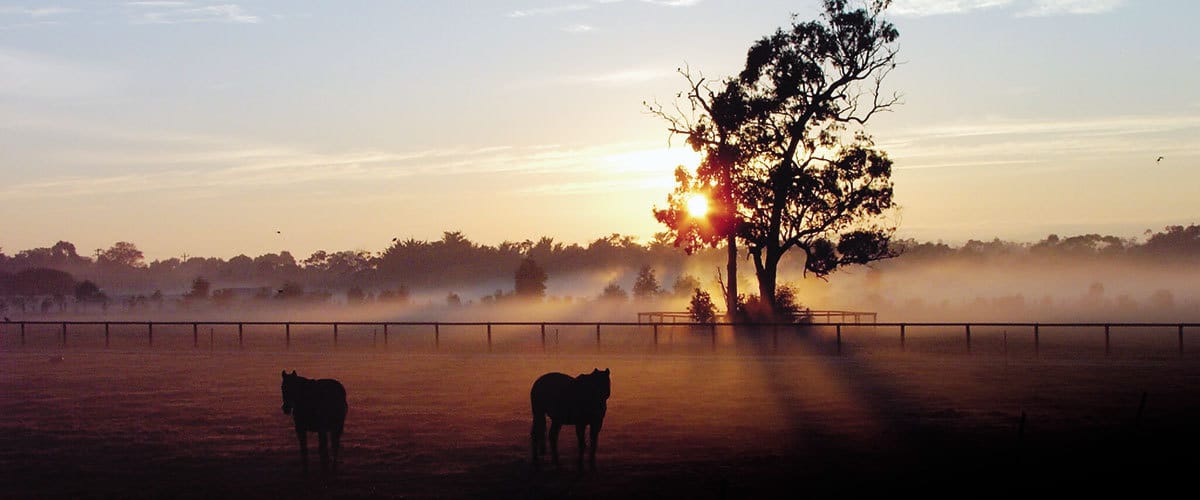 Bombora Downs.