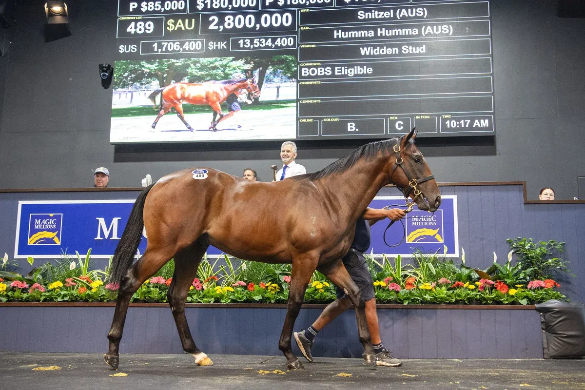 Magic Millions