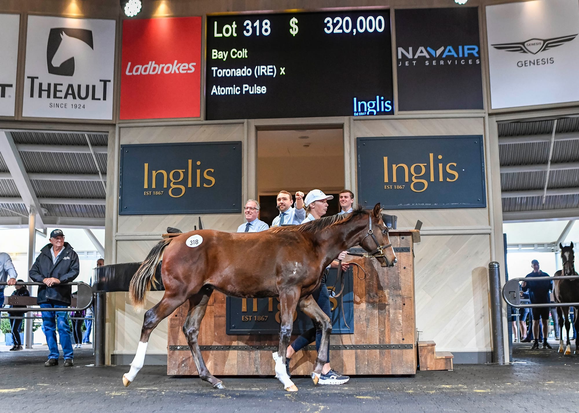 2024 Inglis Australian Weanling Sale