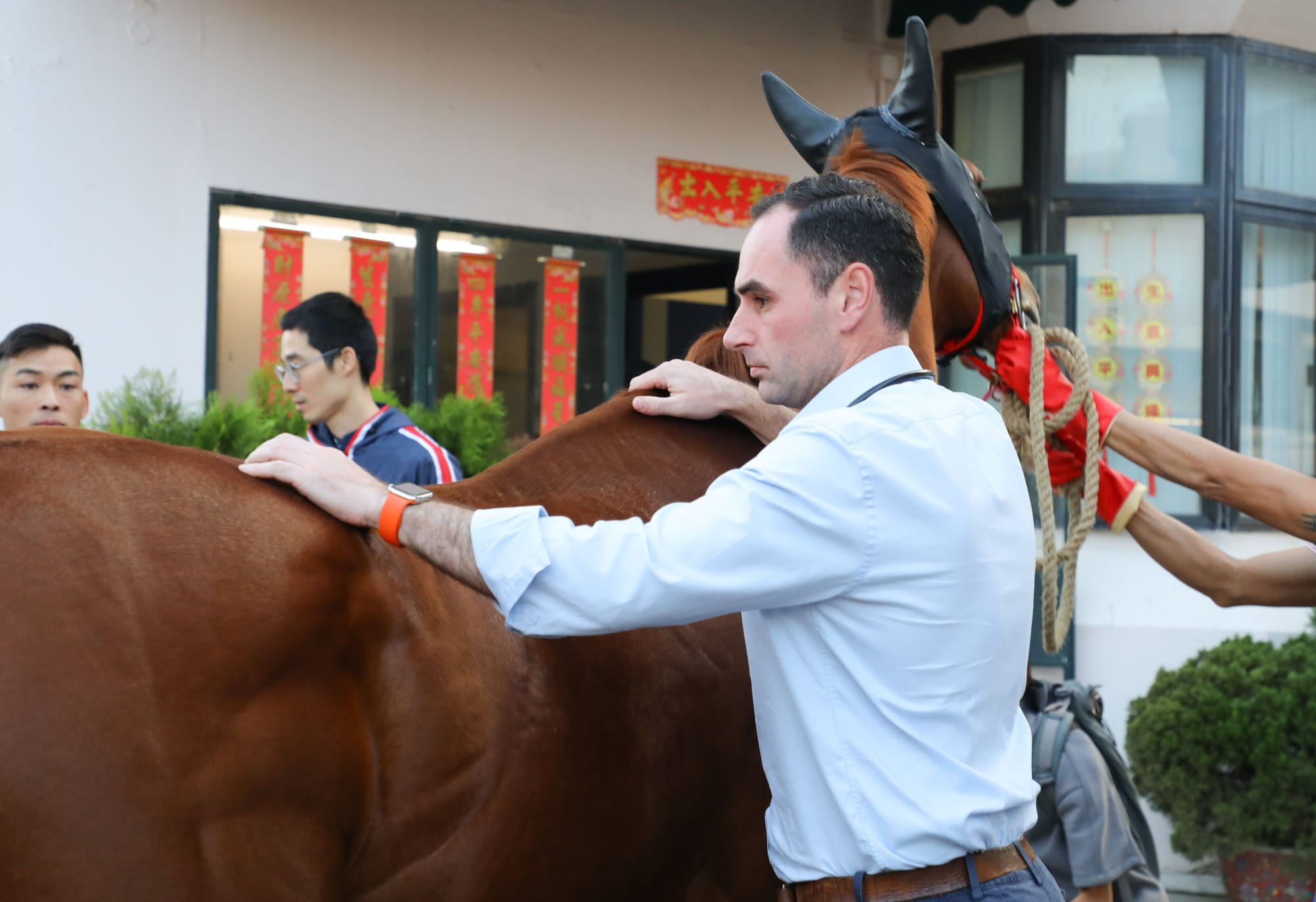 Hong Kong vet inspection