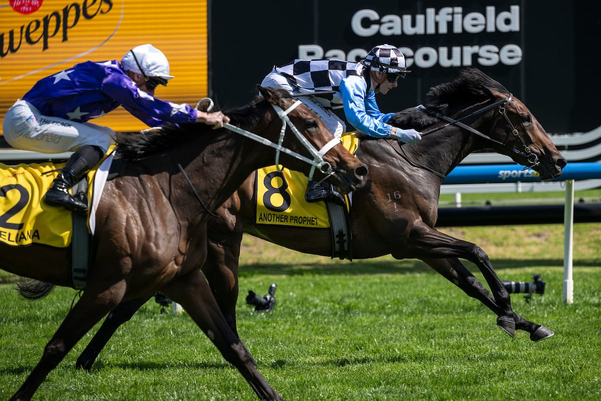 Thousand Guineas