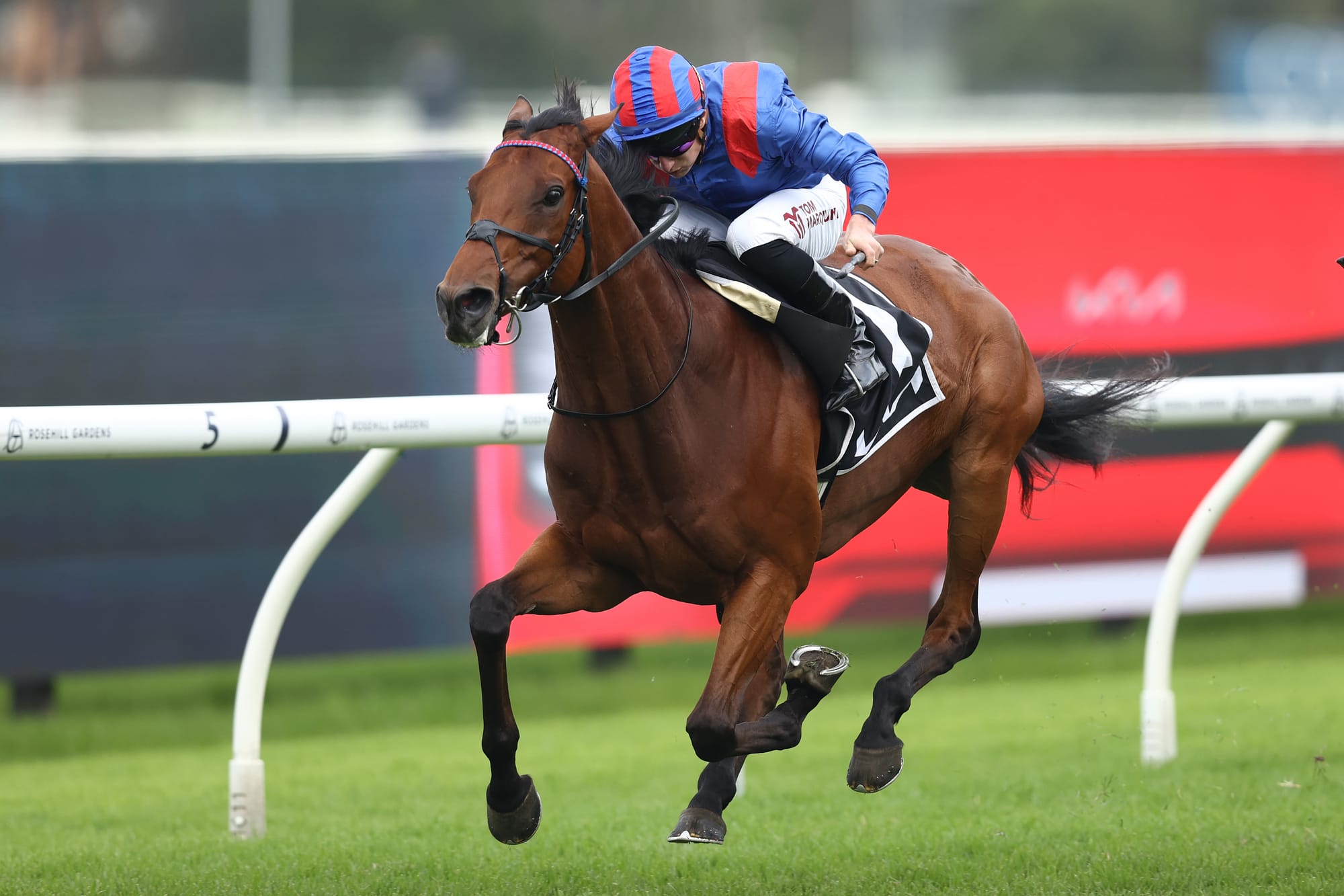 Dubai Honour