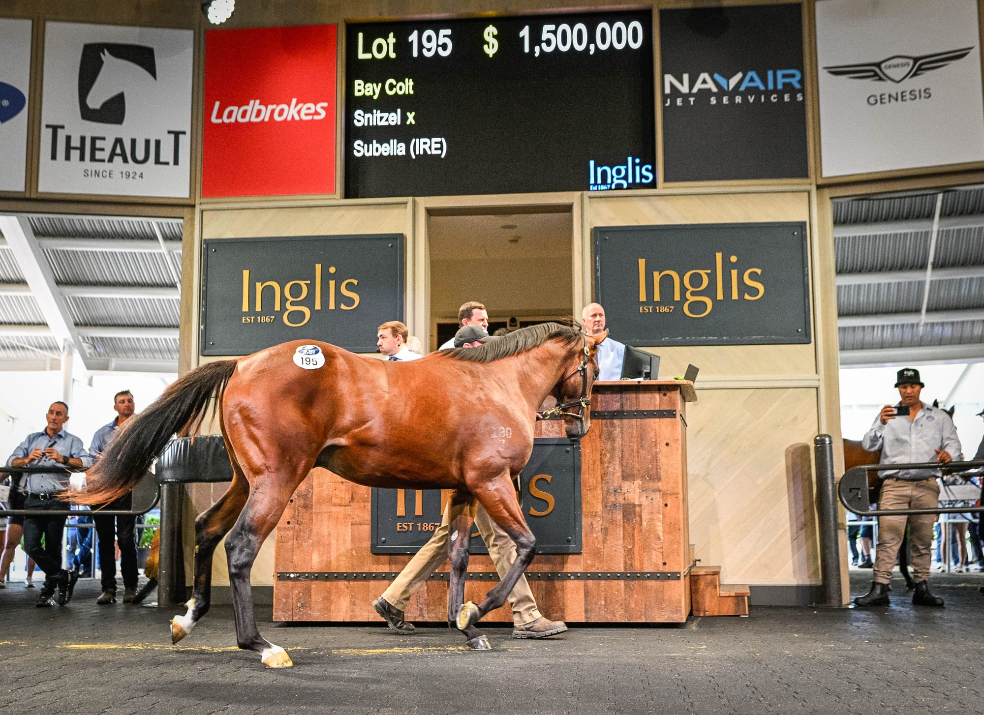 Snitzel