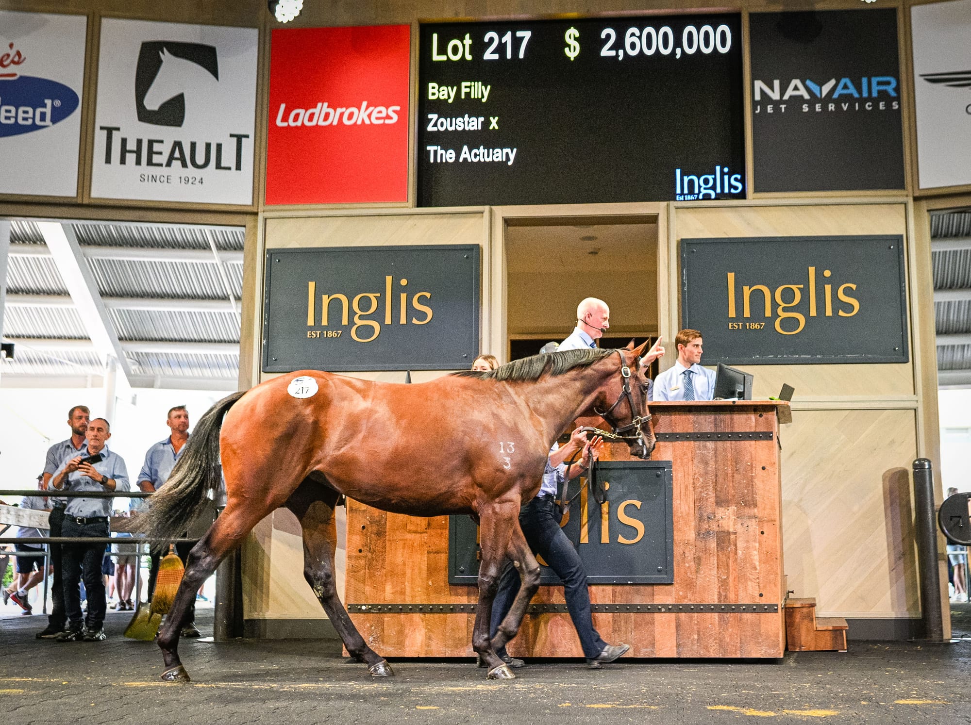 Zoustar filly out of The Actuary