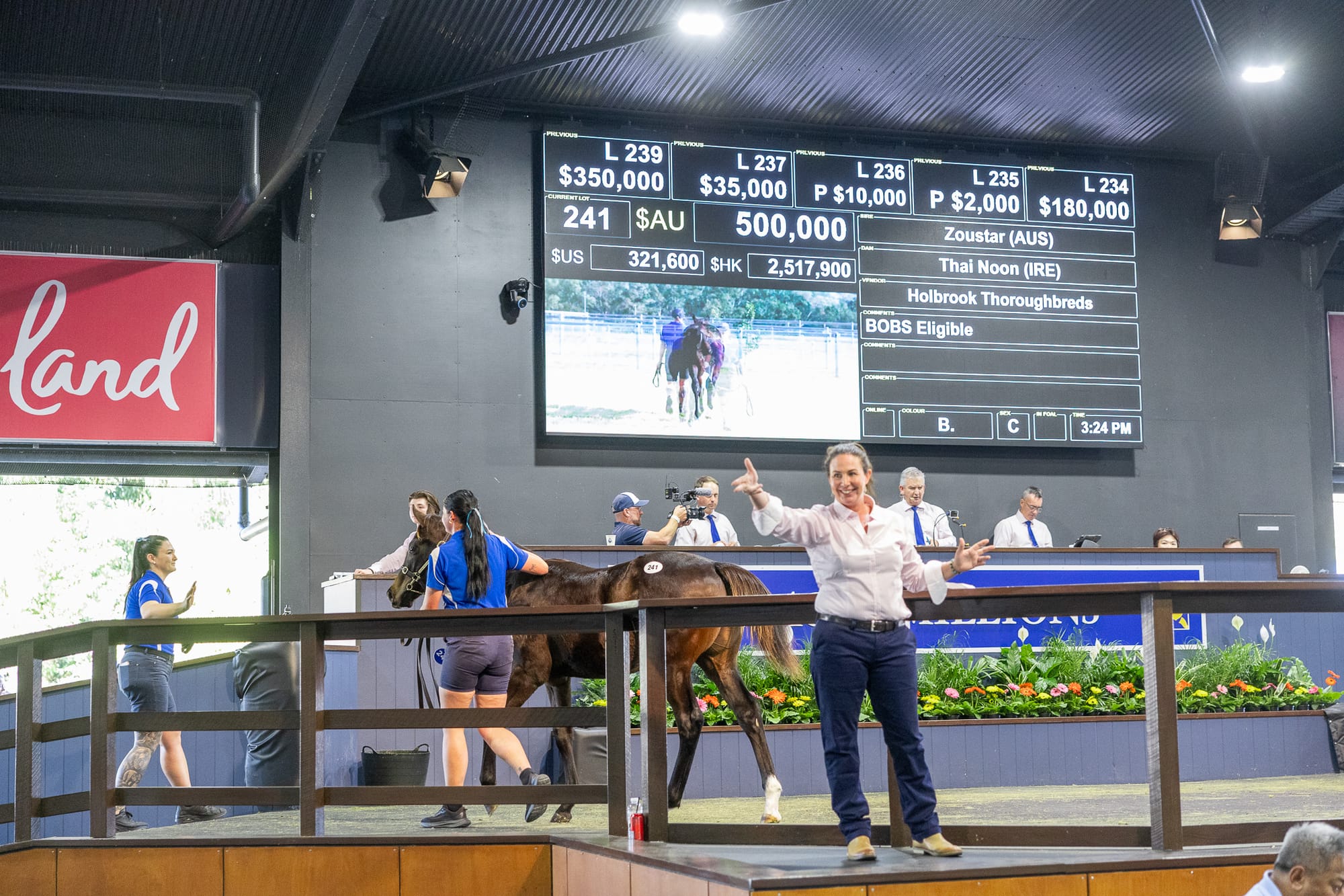 Zoustar colt