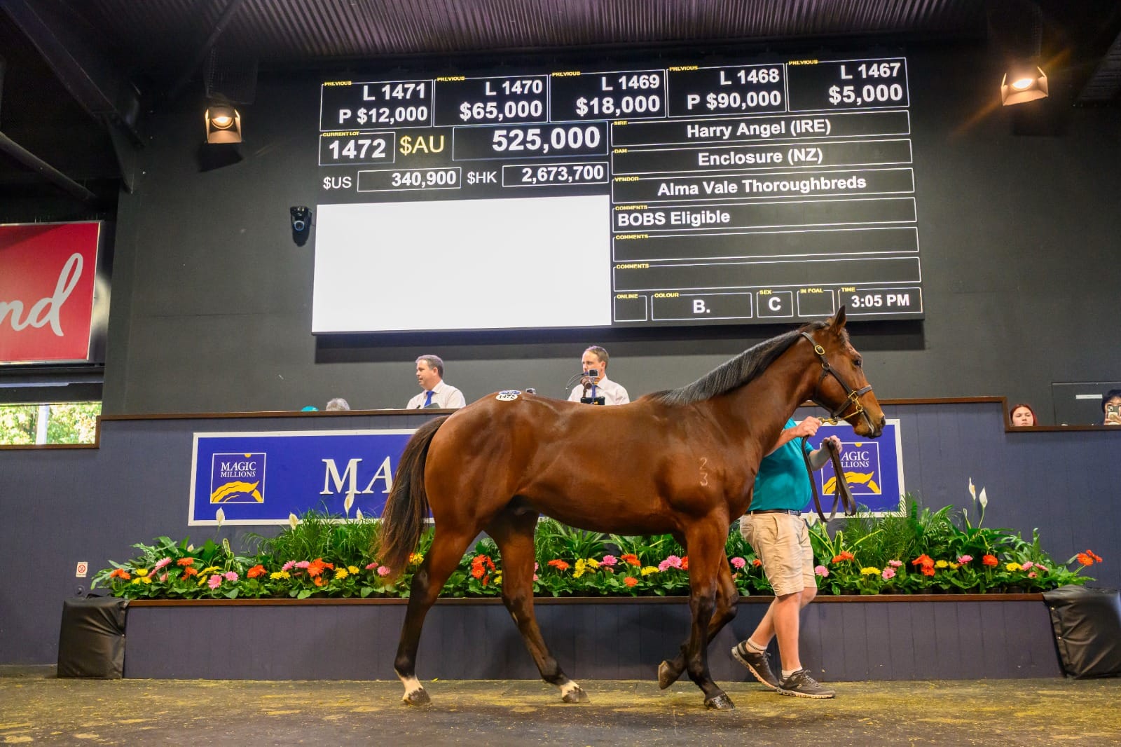 Magic Millions