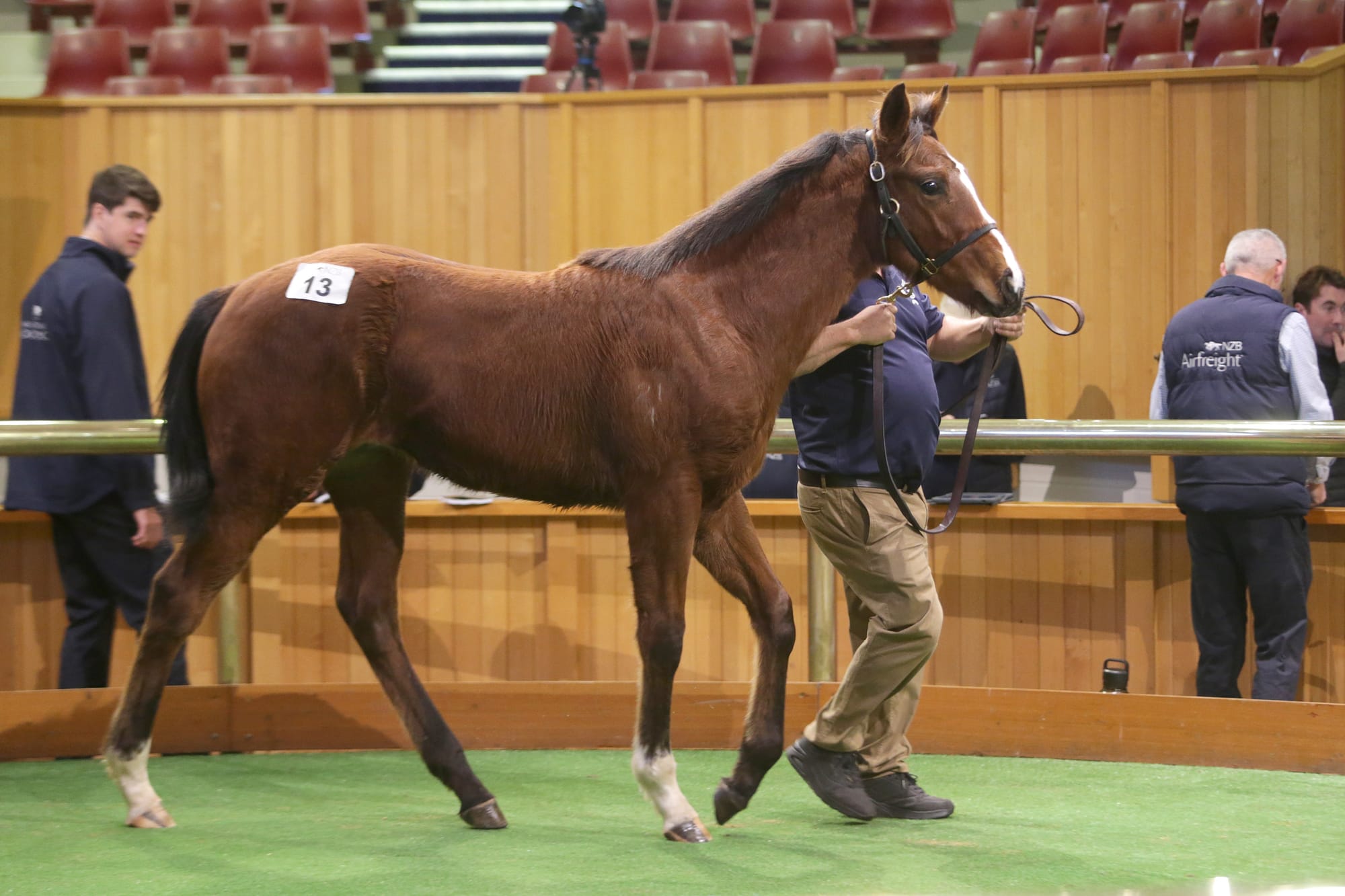 Weanling sale