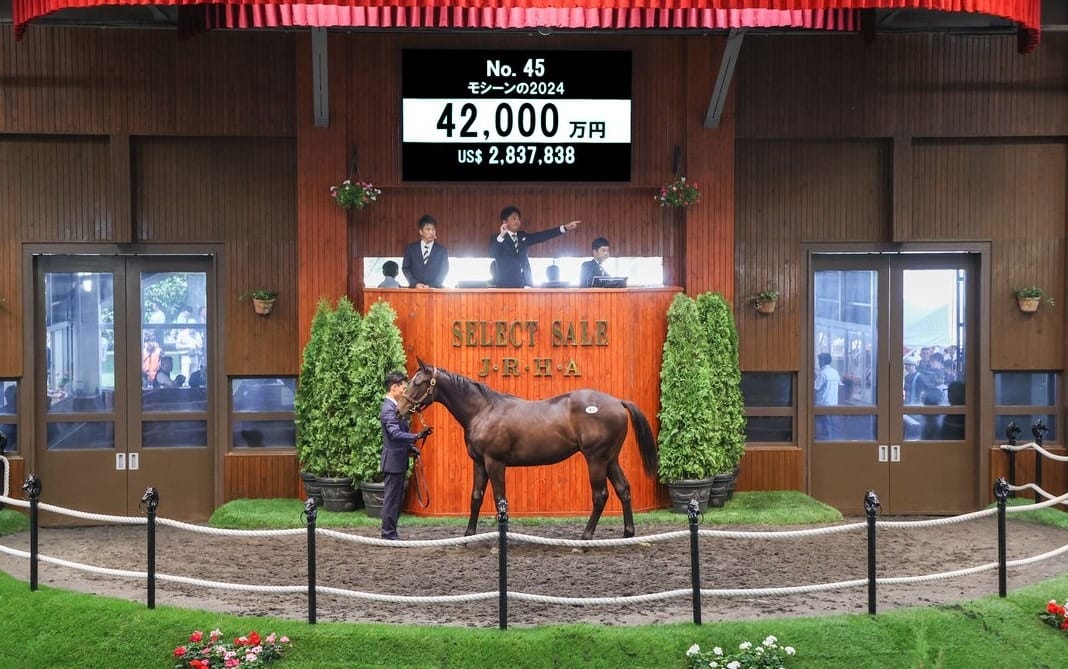 JHRA Select Sale