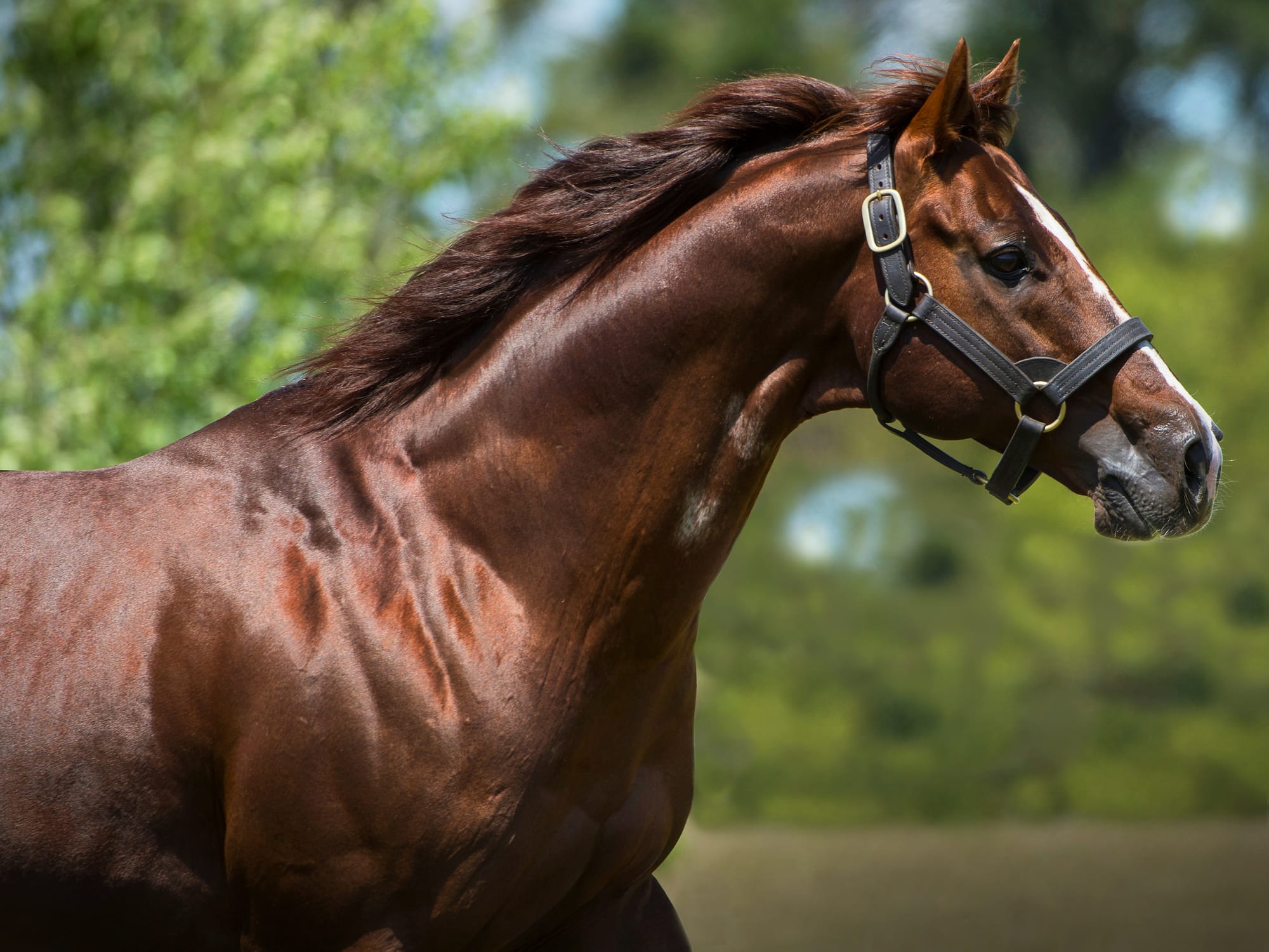 Written Tycoon 