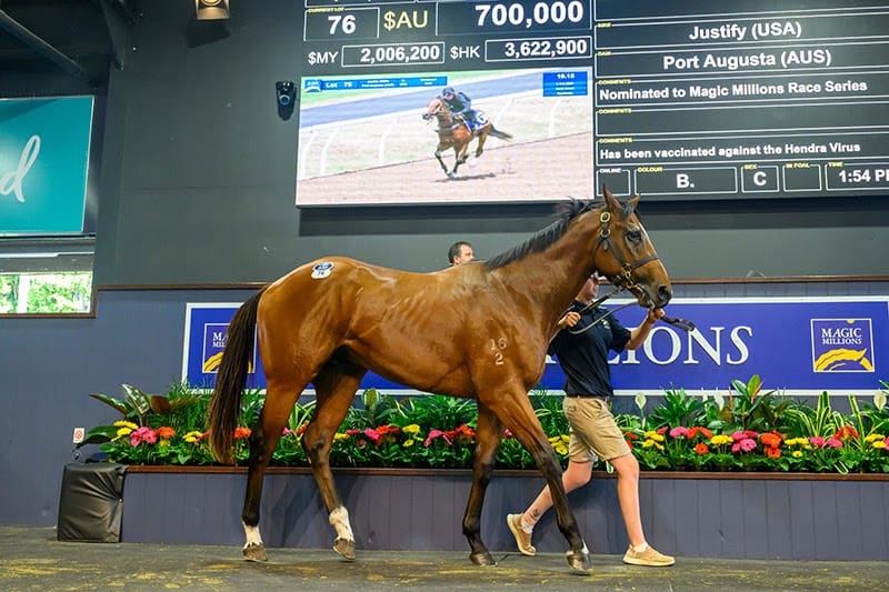 Magic Millions