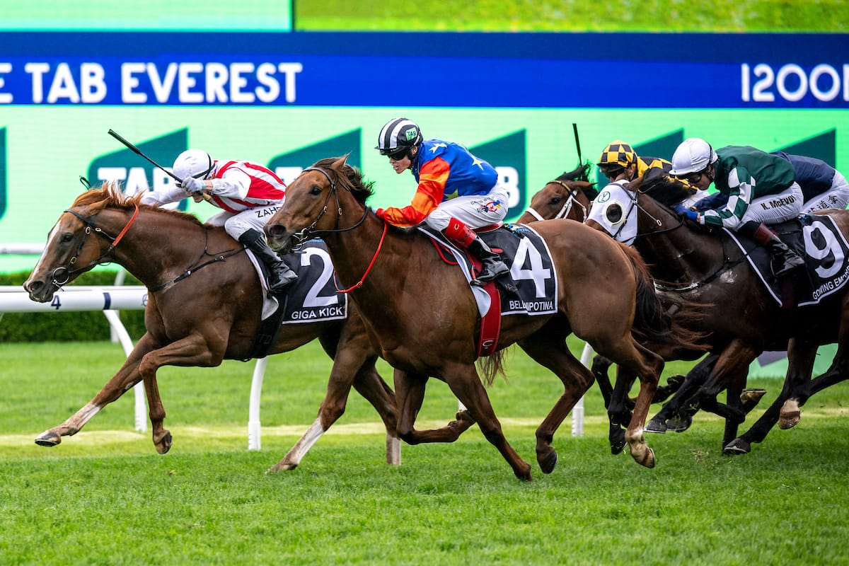 The Everest