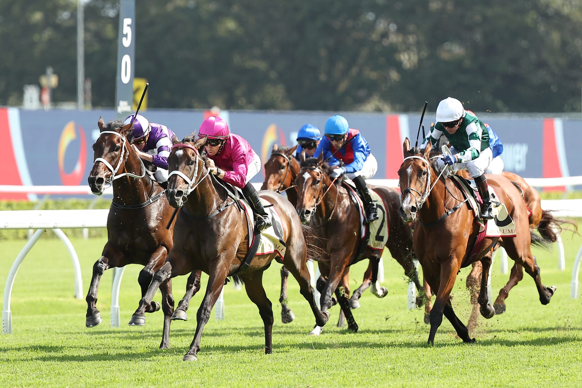 Apollo Stakes