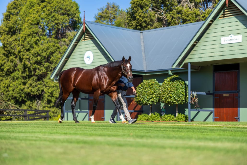 Toronado 