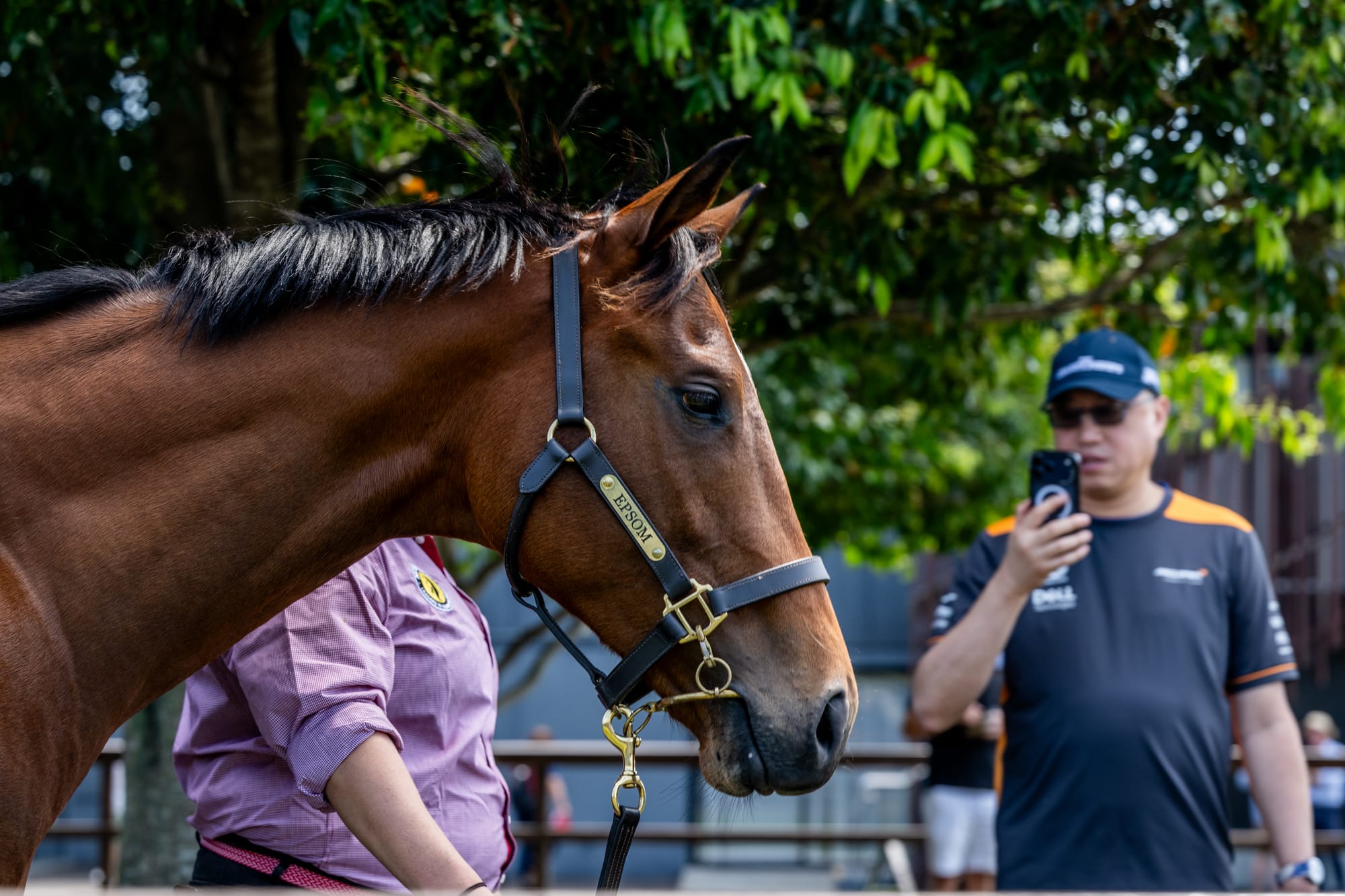 Magic Millions