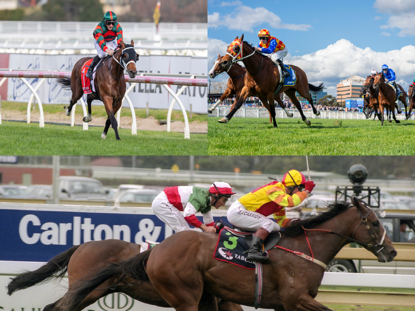 Caufield Guineas