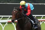 Ka Ying firming after drawing perfectly in The Everest