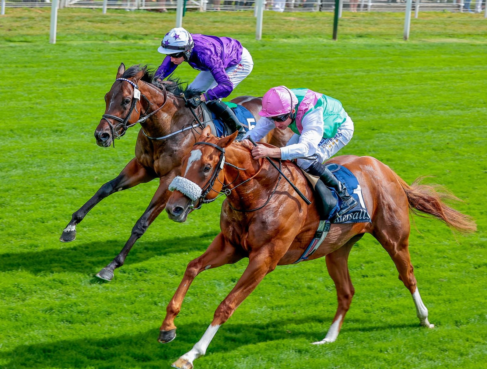 Cambridge Stud to stand Group 1-winning son of Frankel, Chaldean