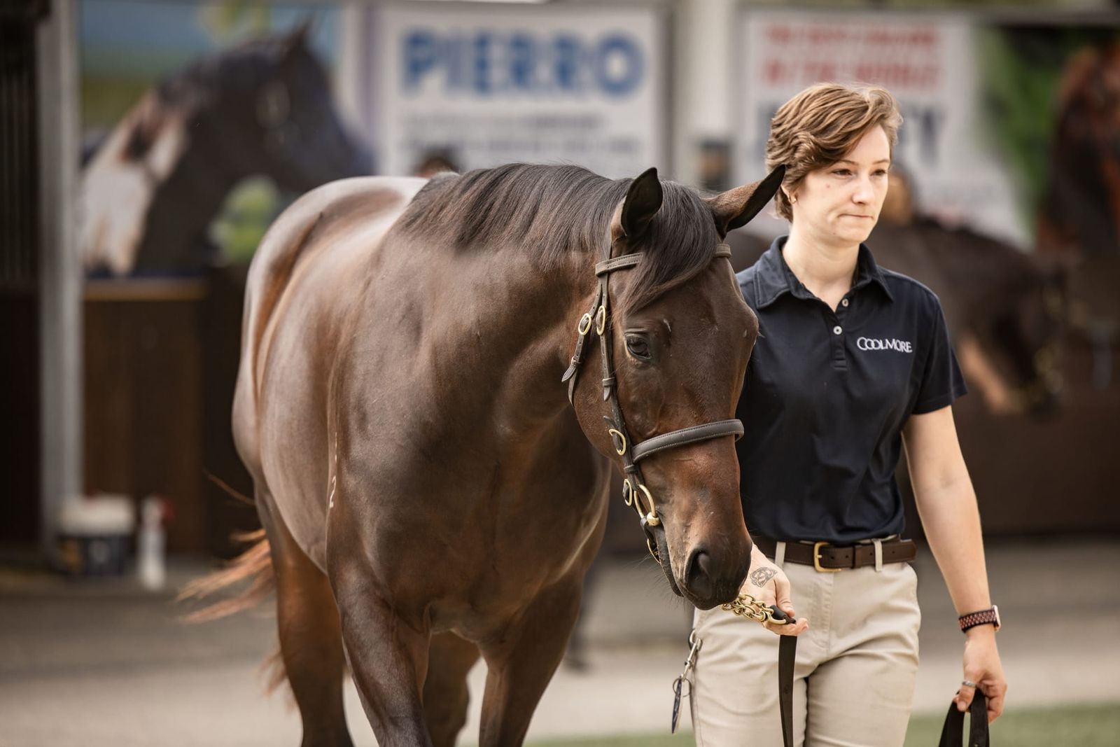 Kepitis keeps ‘collector’s item’ Winx filly in the family for $10 million