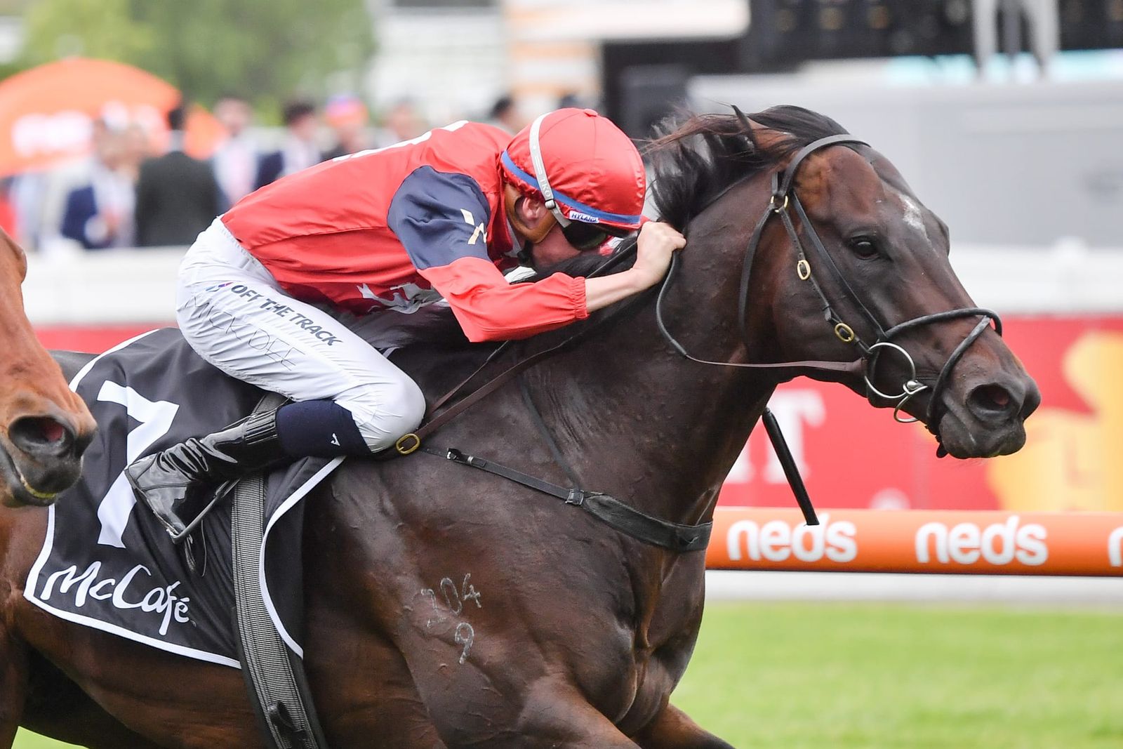 Shamus Award comes back in price as Doull joins Rosemont roster