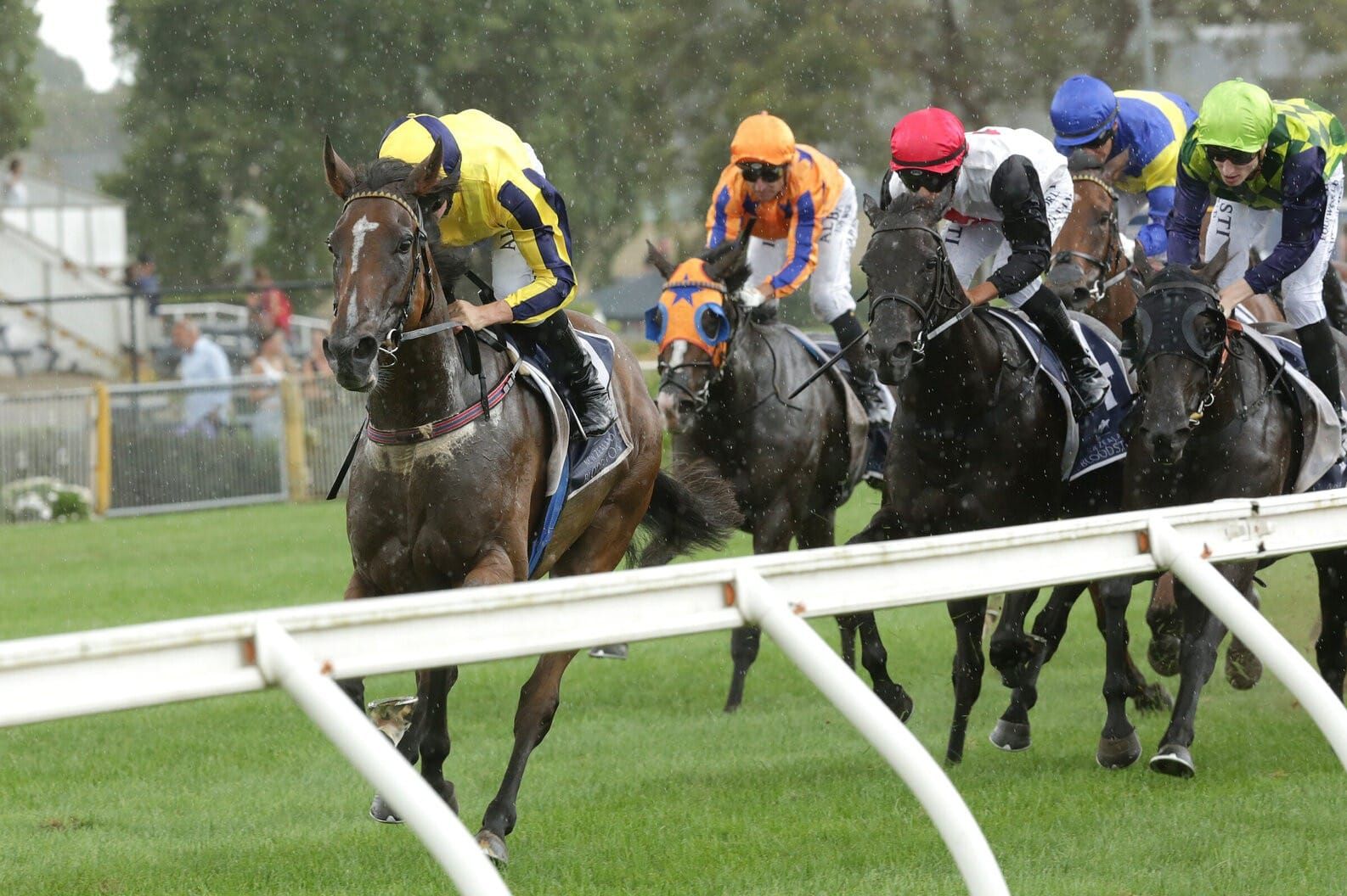 From Rough Habit to Molly Bloom - a family’s Doomben legacy continues
