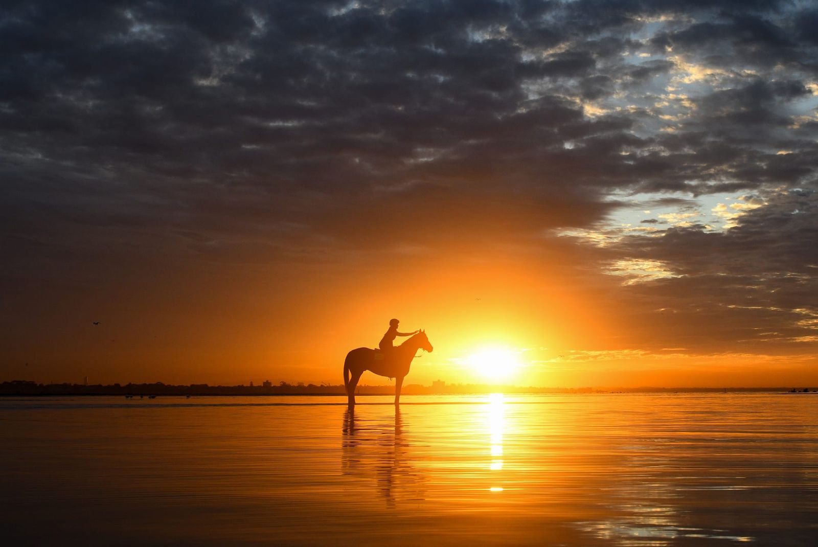 Data-driven – Thoroughbred innovators won’t wait for an ‘industry solution’ on welfare