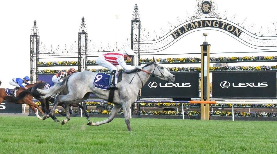 Run The Numbers – Sire dynasties built on Flemington’s straight