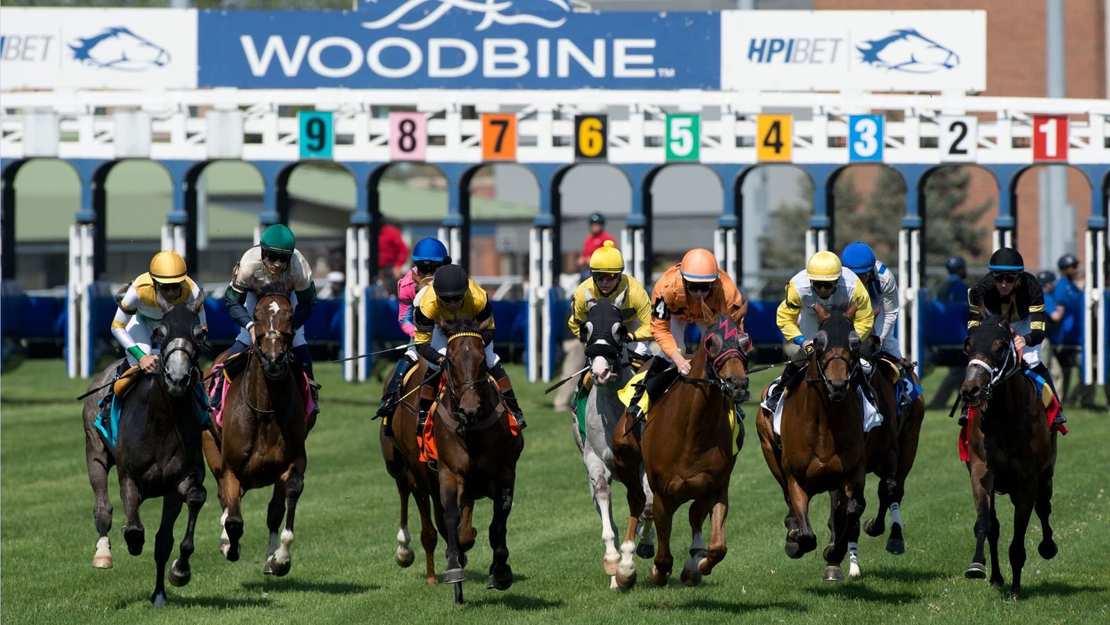 Stars and gripes - Canadian racing industry’s existential threat