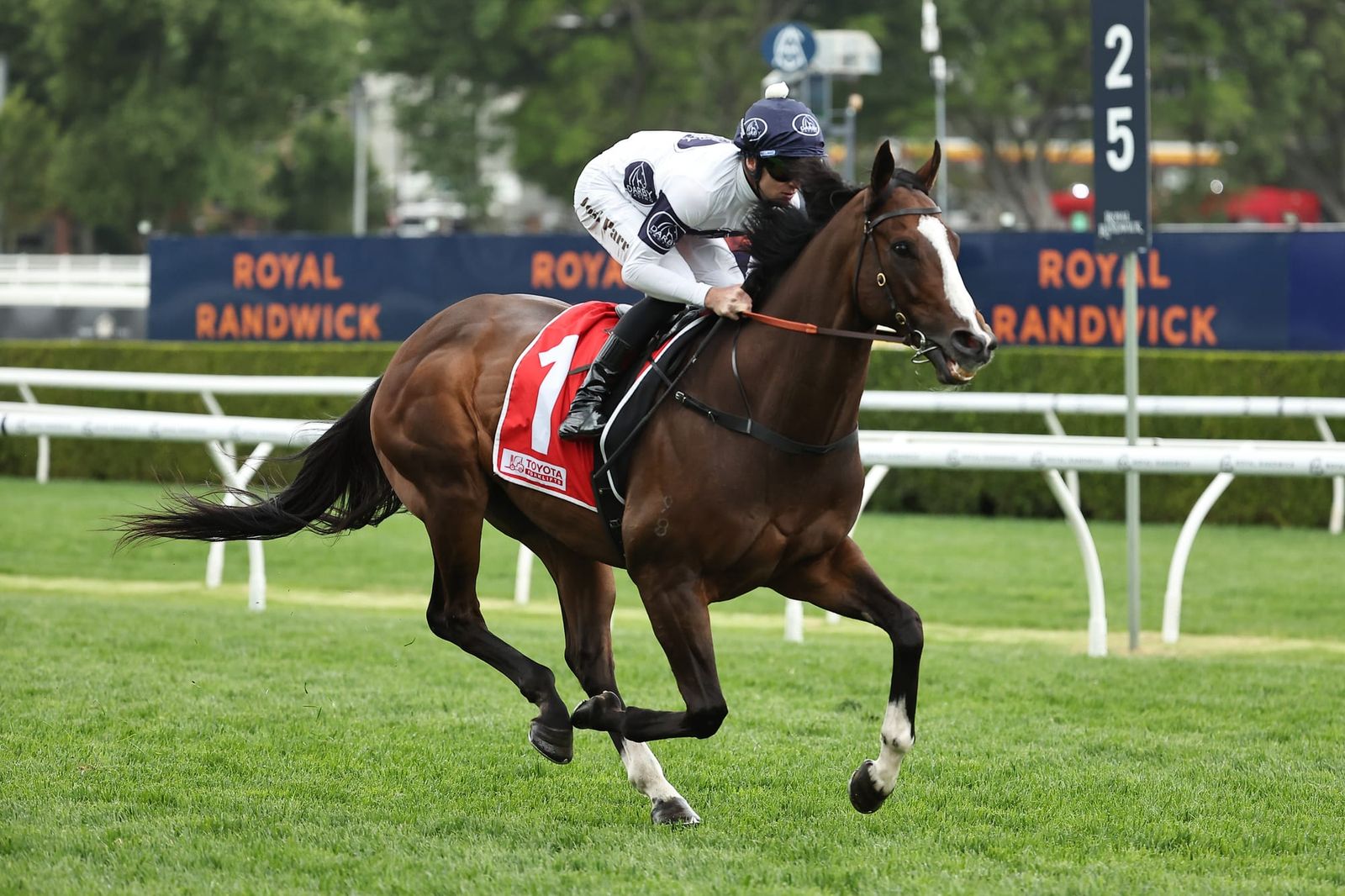Straight Shorts - Tuesday April 22 - How the Quokka draw unfolded, fields out for Adelaide Group 1s, Windsor Park fees, a blow for Trelawney and US online wagering faces bill scrutiny