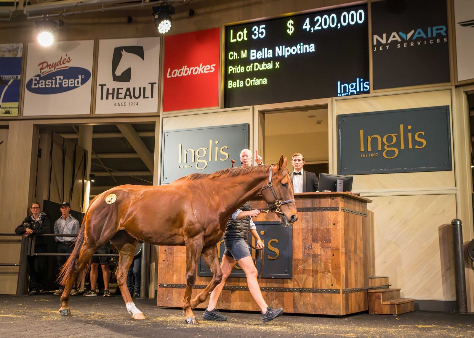 Run The Numbers - How race fillies stole the sales show
