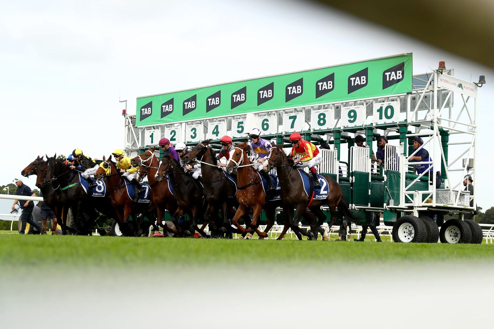 NSW Trainers Association in clear over charity lunch complaint