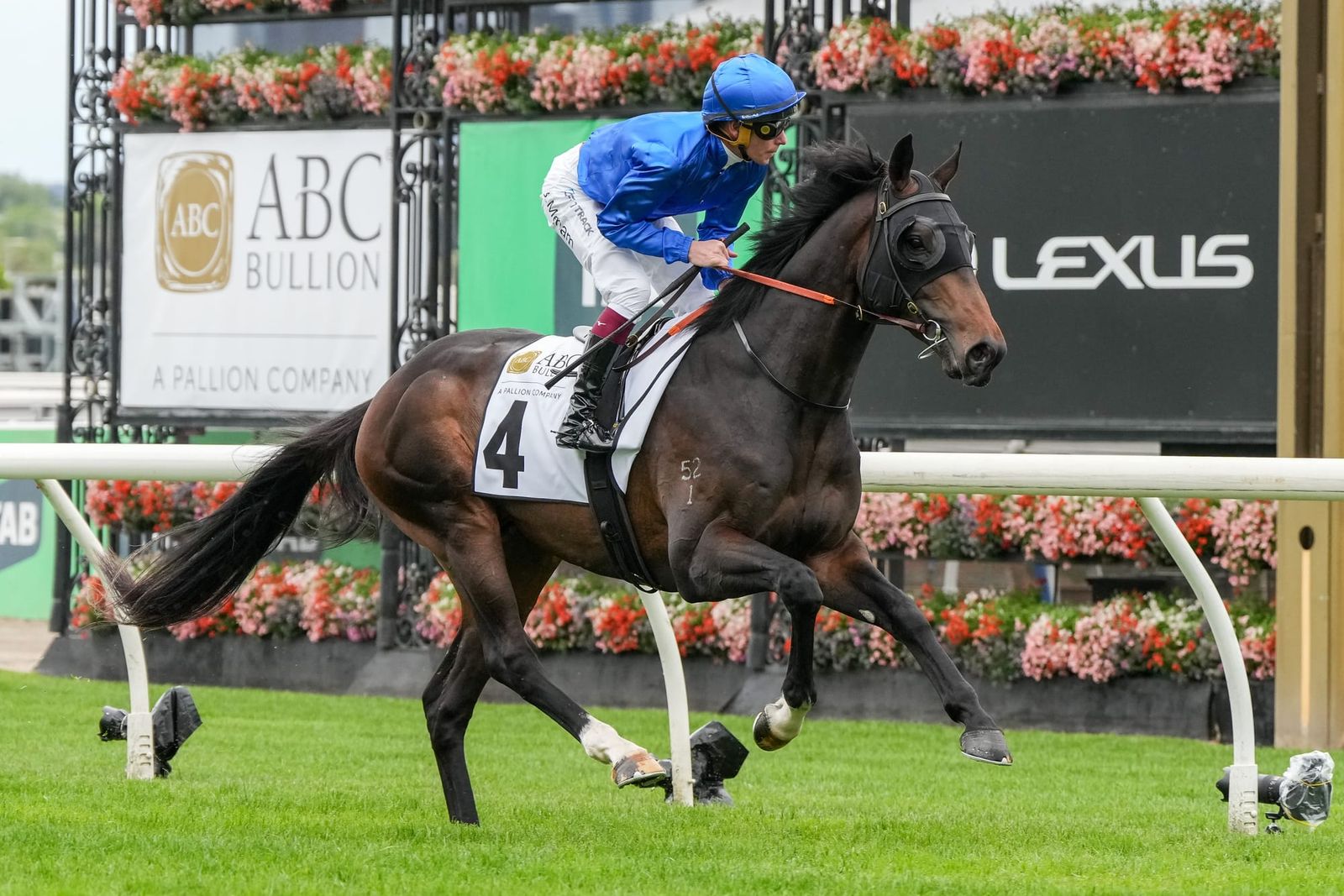 Godolphin’s SA Derby placegetter Lavalier heading west after $380,000 online sale