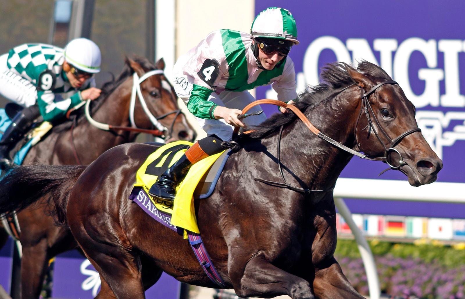 Riverstone bound - Grade 1 winner Starlust has run his last race
