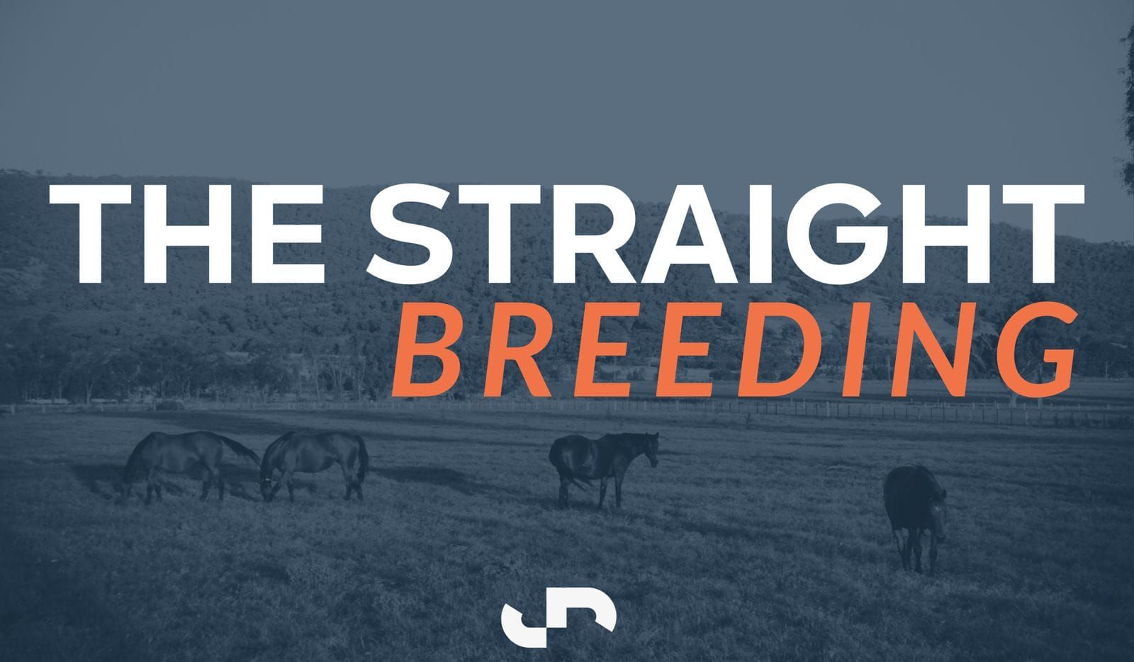 Talented Snitzel mare Vienna Princess added to Magic Millions Virtual Sale