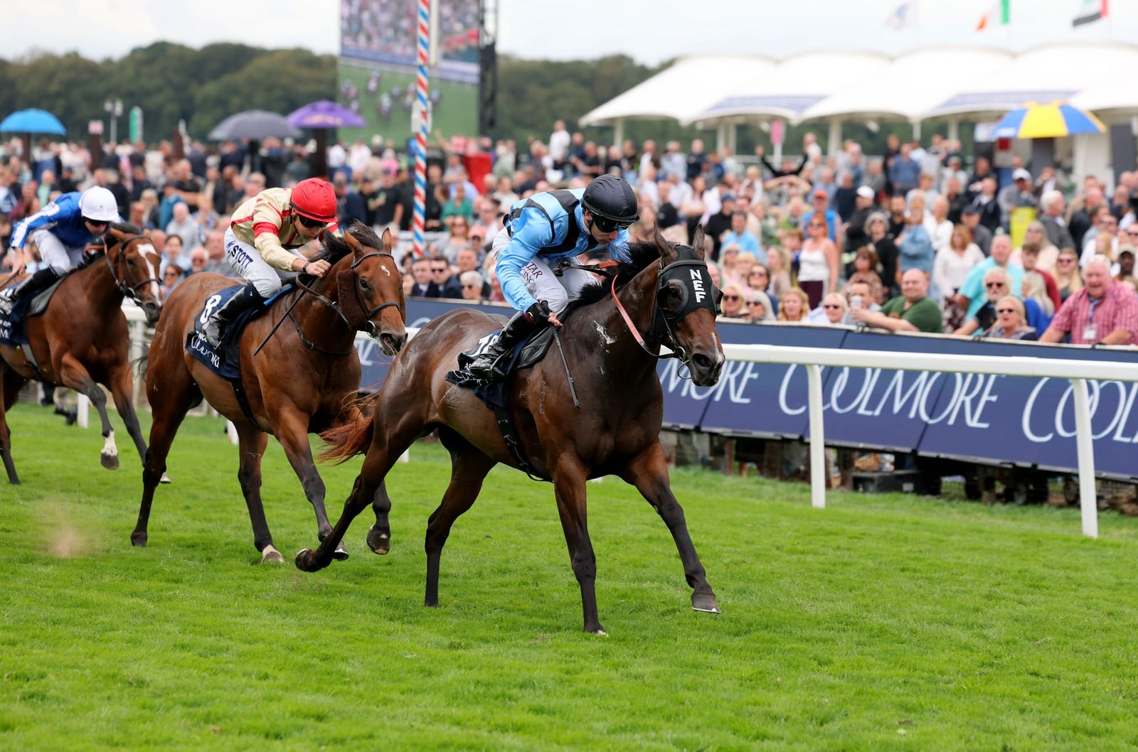 'It's an incredible buzz to be validated' - Asfoora bounces back in Nunthorpe