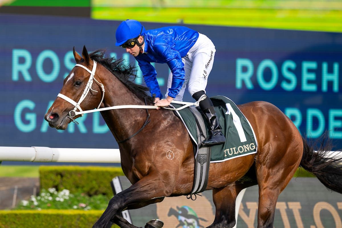 Run The Numbers – The stallion-making trainer in the stallion-making race