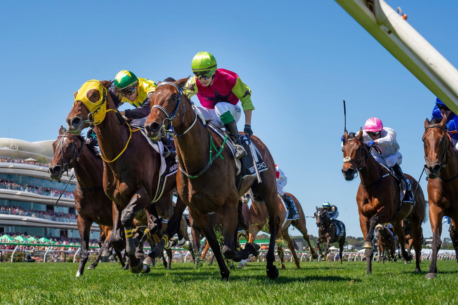 Mega-stables gang tackle Melbourne Cup nominations