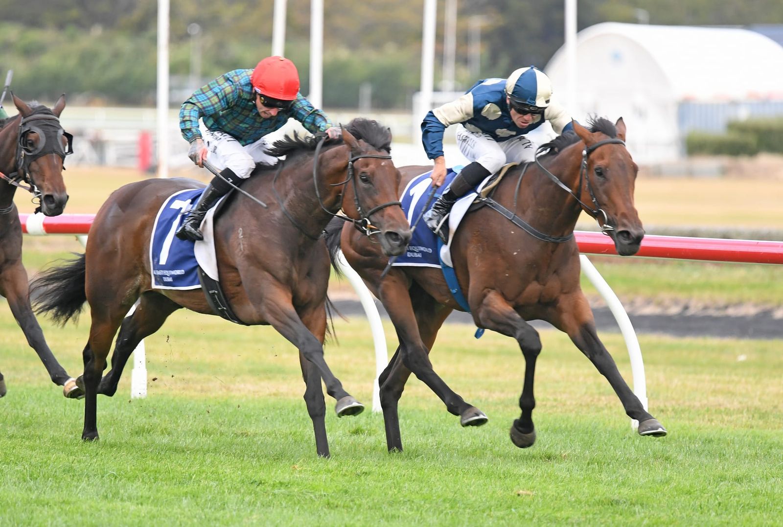 New Zealand moves Oaks to try and preserve Group 1 status and downgrades Thorndon Mile