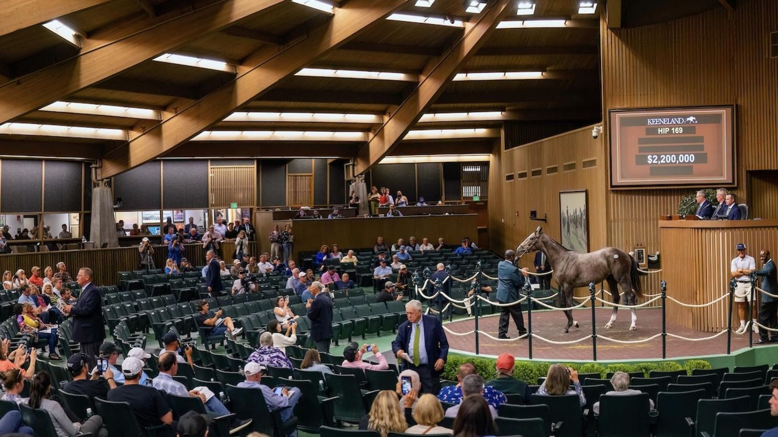 Randwick one day, Kentucky the next - Widdup takes flight to Keeneland with Mulberry’s backing