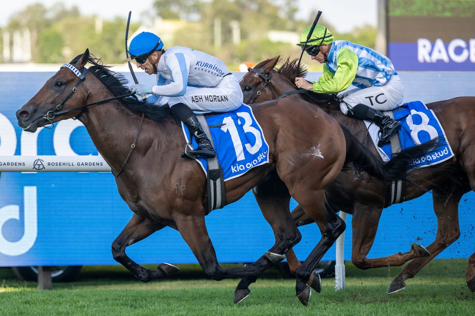Private decision - Yulong left to find replacement for Everest slot