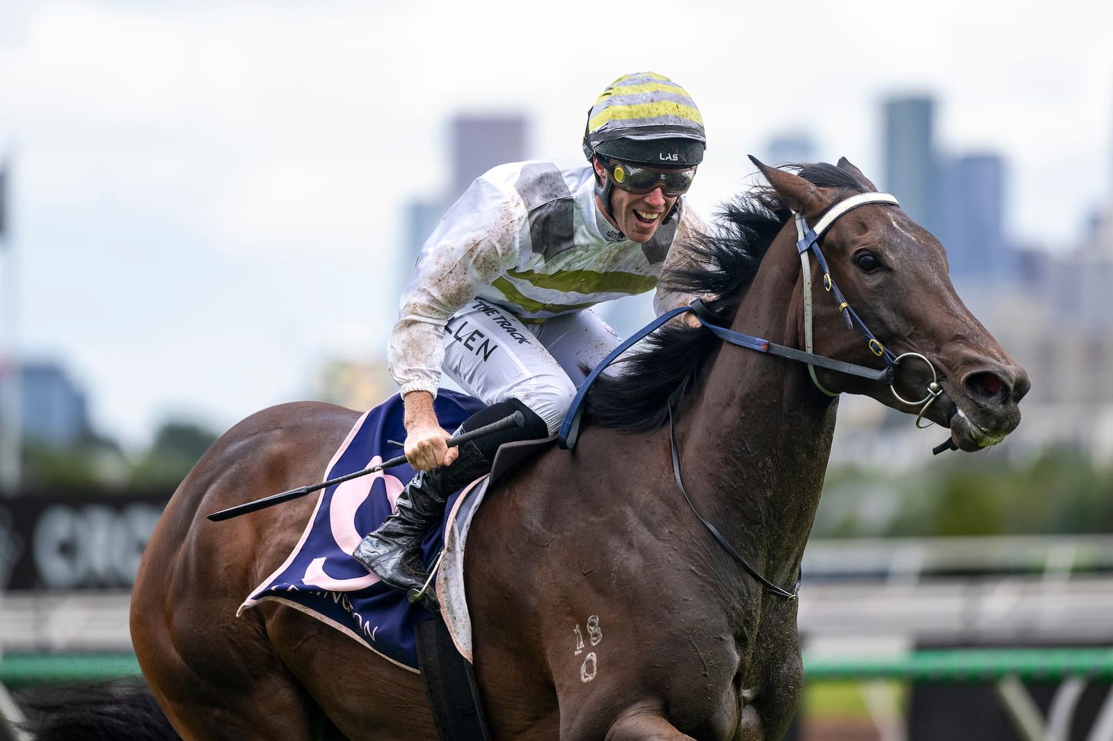 ‘It’s not an alien position to find ourselves in’ - Skybird ruled out of The Everest
