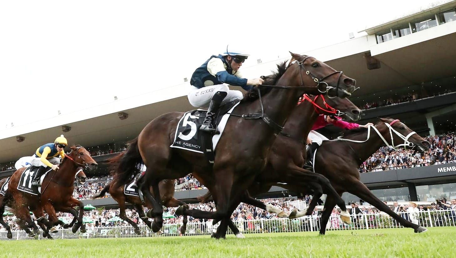 Shooting the breeze - Why faster times aren’t a guide to better buys at two-year-old sales