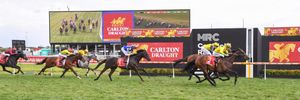Melbourne Racing Club, Sportsbet join forces in five-year sponsorship deal