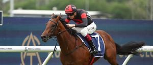 Waterhouse-Bott dominance of 2YO racing shows no sign of abating